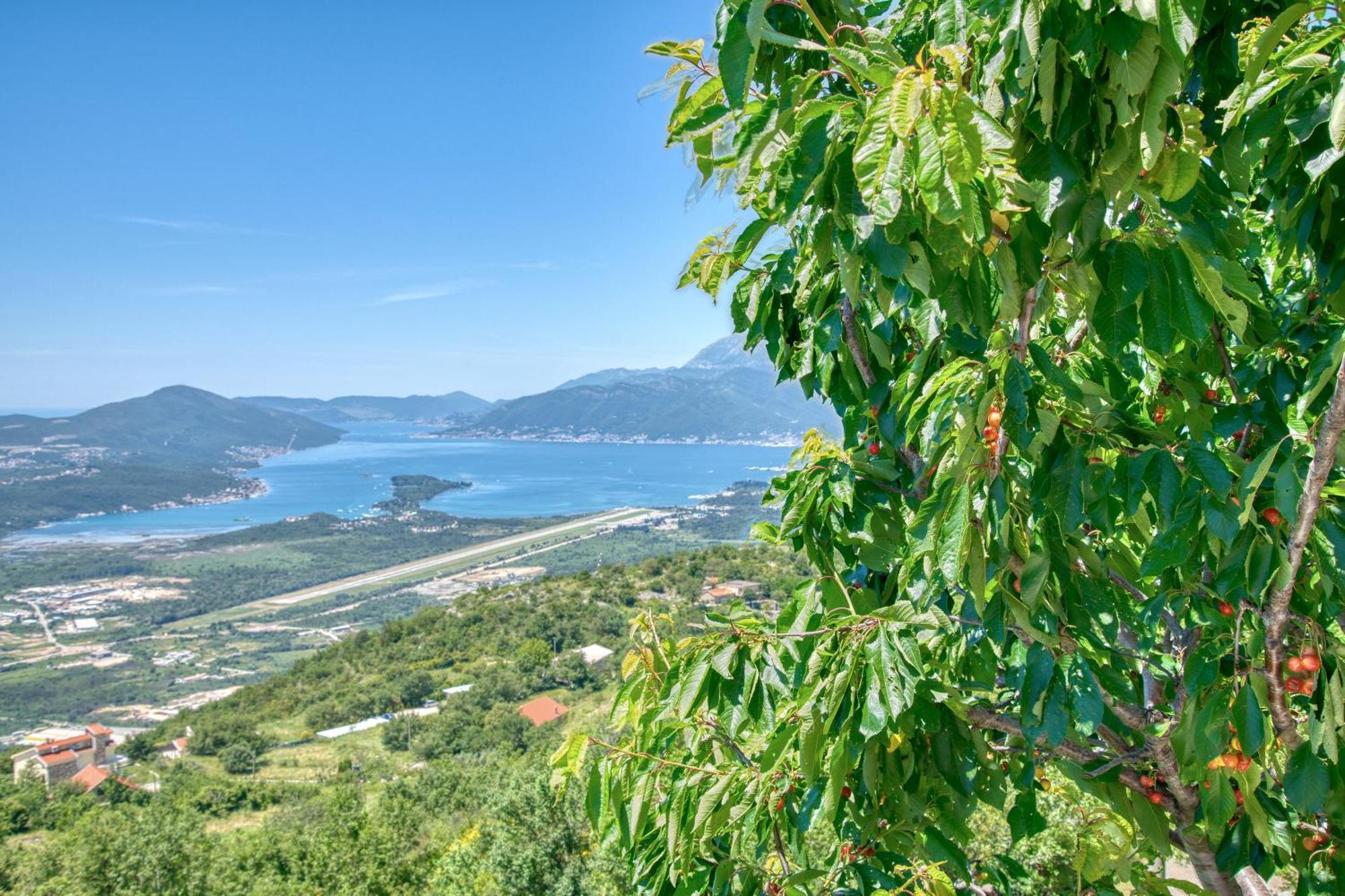 Apartment Paradise Котор Экстерьер фото