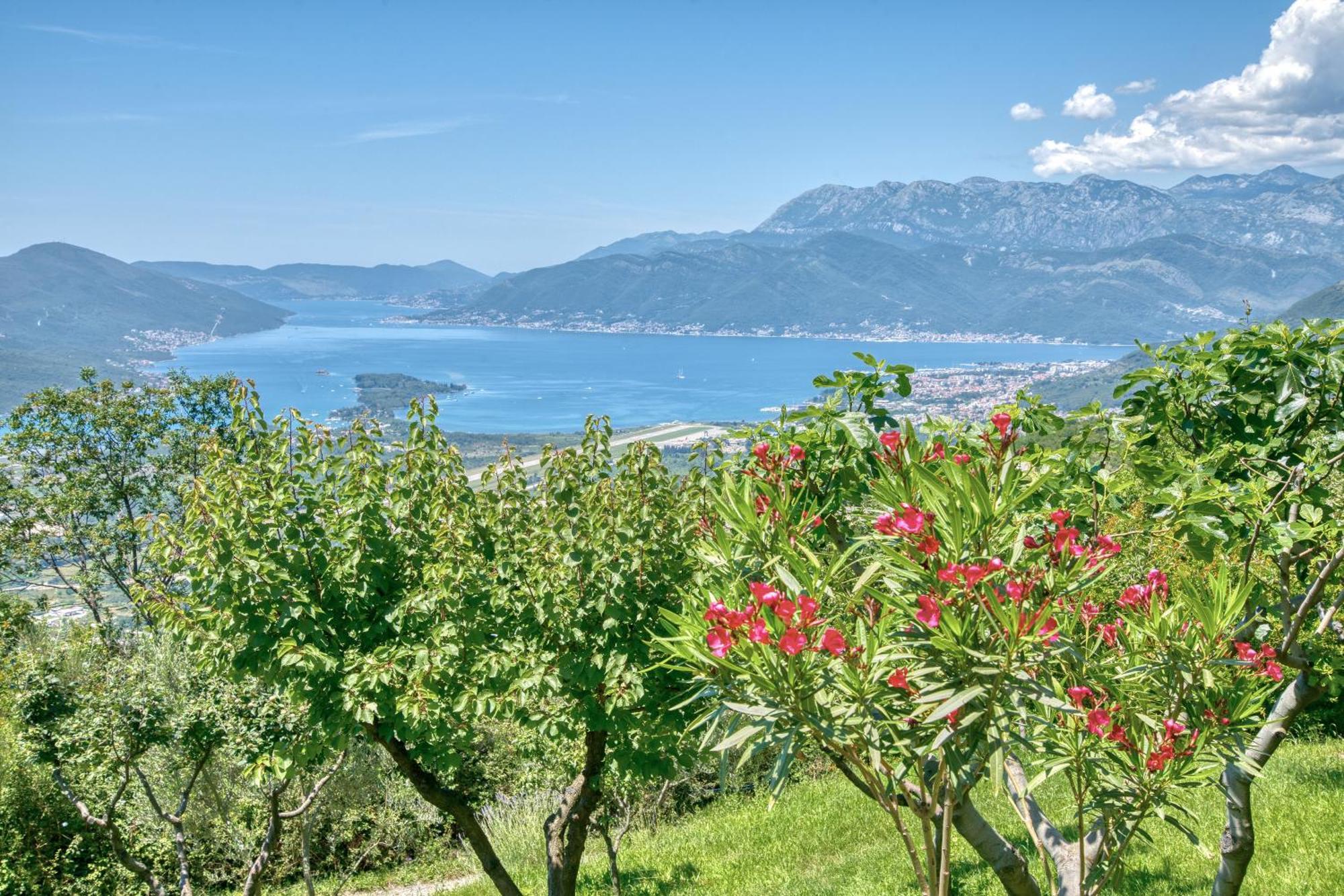 Apartment Paradise Котор Экстерьер фото